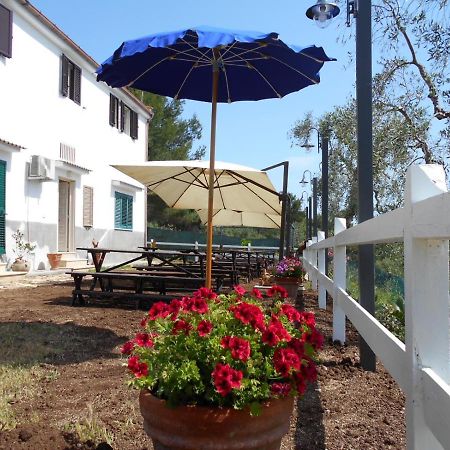 Agriturismo Affittacamere Atlhos فيستَ المظهر الخارجي الصورة