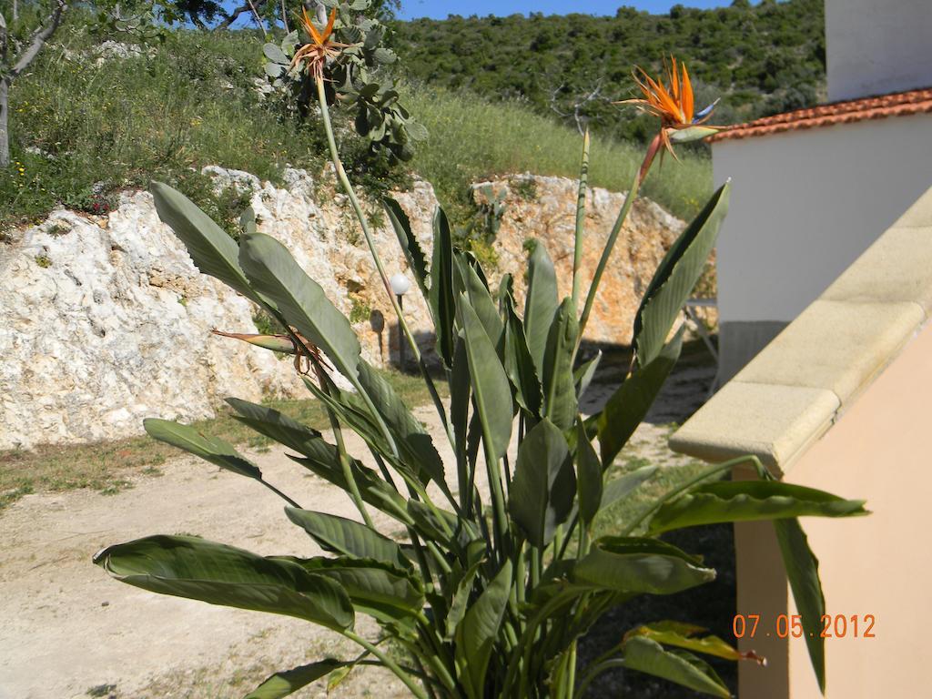 Agriturismo Affittacamere Atlhos فيستَ المظهر الخارجي الصورة