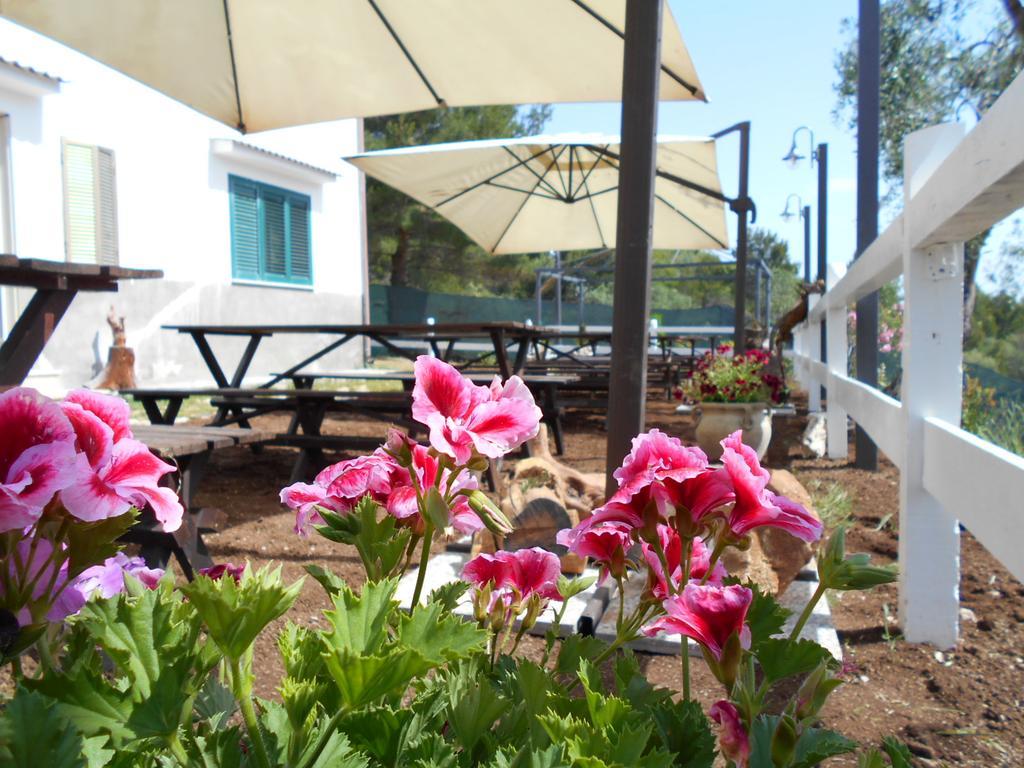 Agriturismo Affittacamere Atlhos فيستَ المظهر الخارجي الصورة
