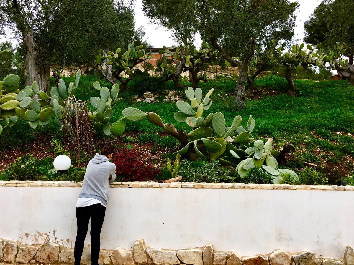 Agriturismo Affittacamere Atlhos فيستَ المظهر الخارجي الصورة