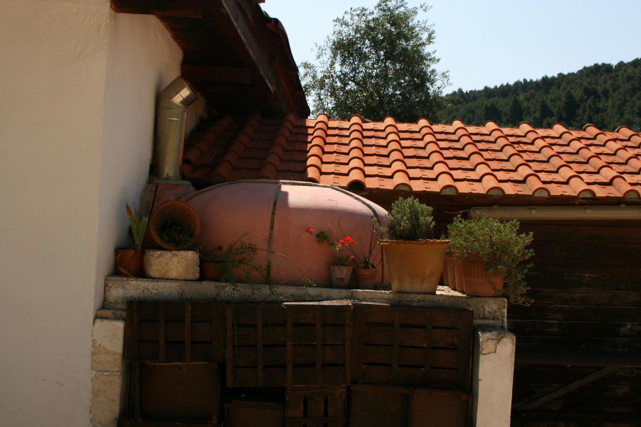 Agriturismo Affittacamere Atlhos فيستَ المظهر الخارجي الصورة