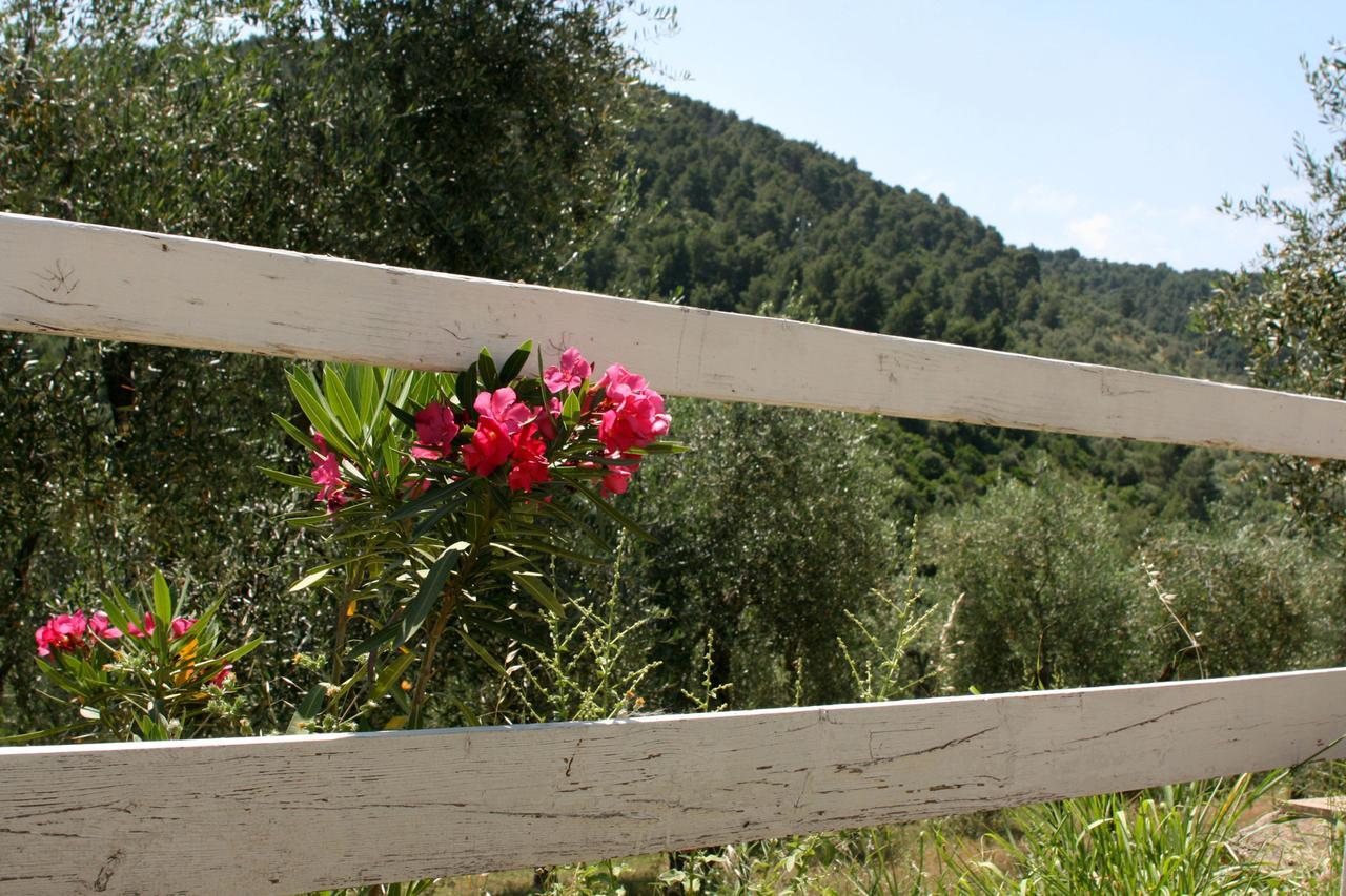 Agriturismo Affittacamere Atlhos فيستَ المظهر الخارجي الصورة
